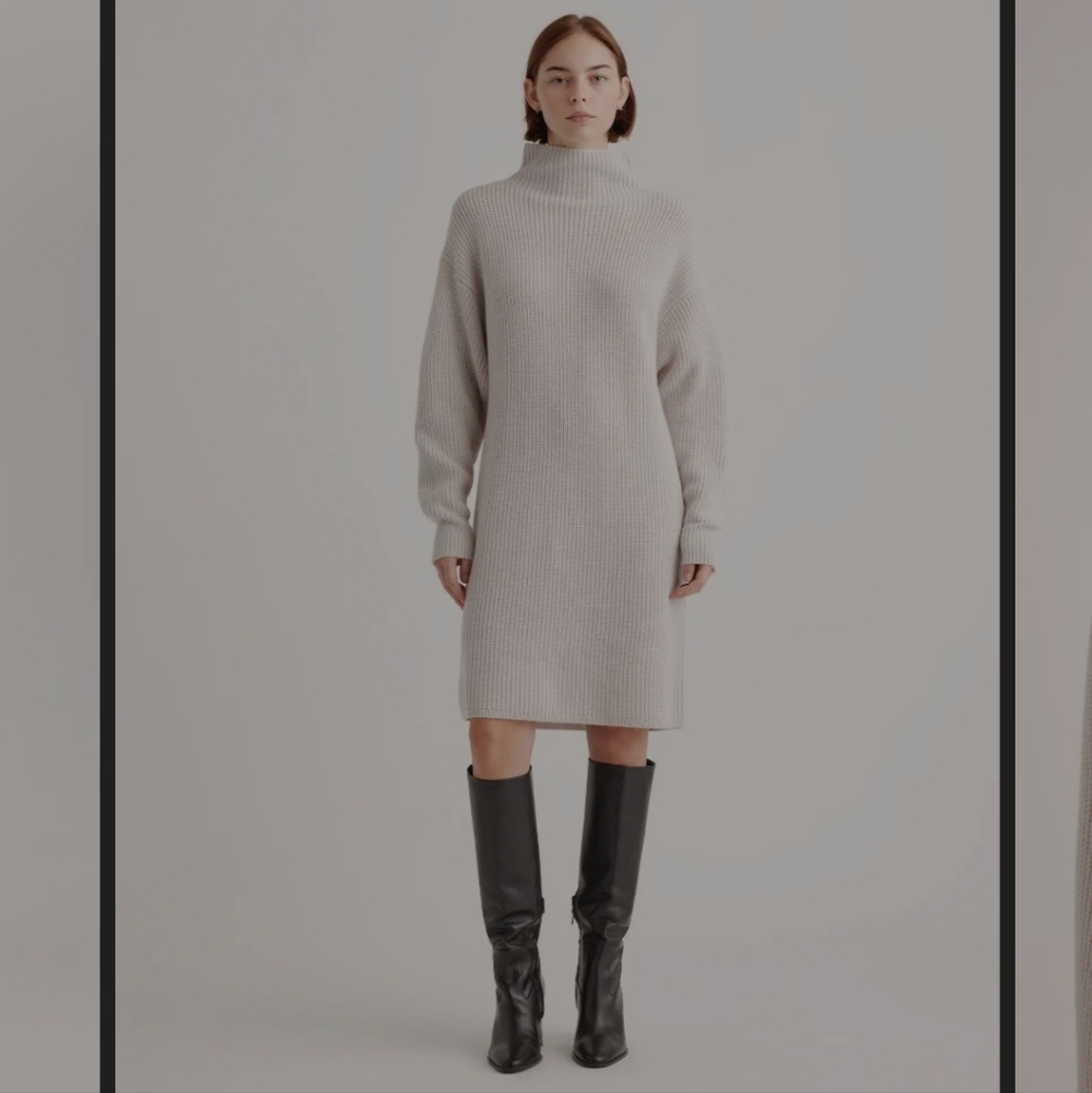 Quince Australian Merino Wool Relaxed Turtleneck Sweater Dress.
